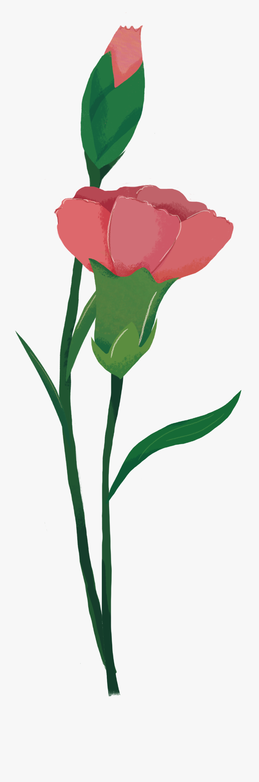 Transparent Flower Spray Clipart - Iris, Transparent Clipart