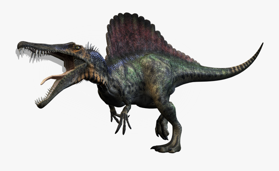 Clip Art Picture Of Spinosaurus Dinosaur - Transparent Background Dinosaur Png, Transparent Clipart
