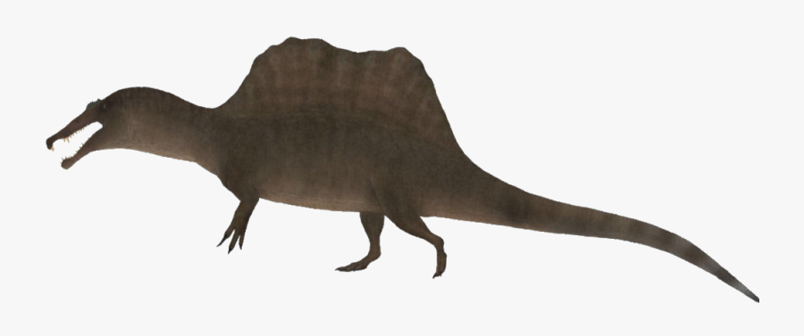 #spinosaurus #paleoart #spino #paleontology #dinosaurs - Lesothosaurus, Transparent Clipart