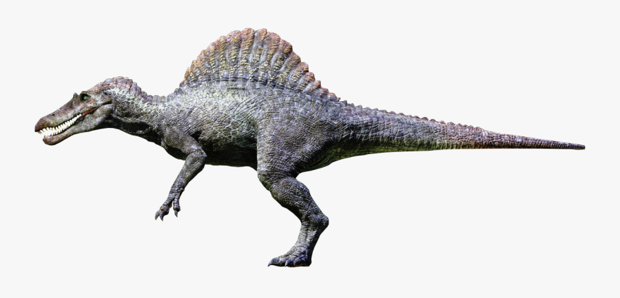 Spinosaurus Png Free Download - Jurassic Park Spinosaurus Png, Transparent Clipart
