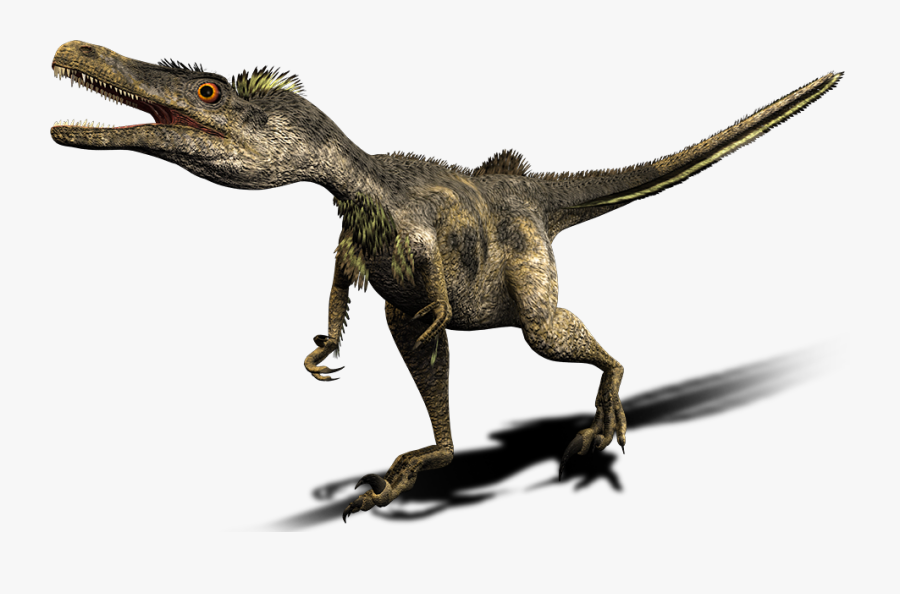Velociraptor Tyrannosaurus Deinonychus Spinosaurus - Tiranosaurio Rex Vs Velociraptor, Transparent Clipart