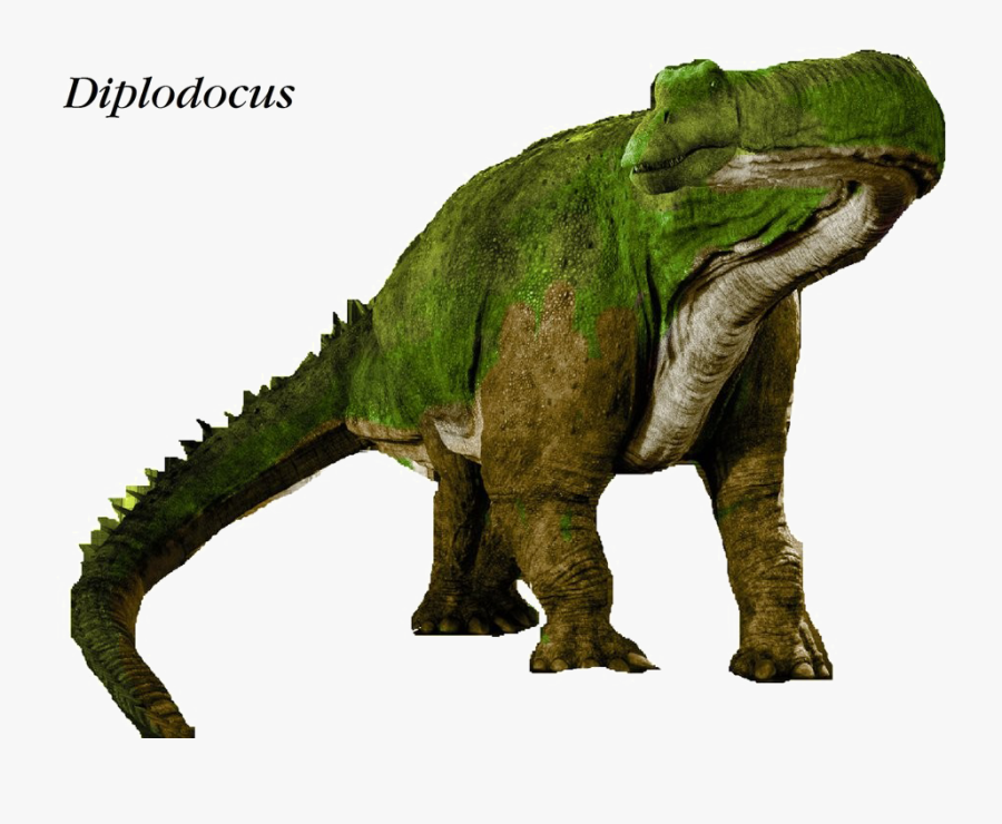 Diplodocus Png Clipart - Dinosaur Train Diplodocus, Transparent Clipart