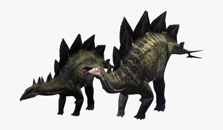 Dinosaur, Transparent Clipart