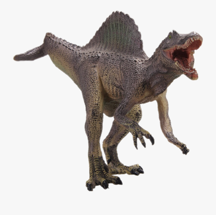Transparent Spinosaurus Png - ส ไป โน ซอ รัส Spinosaurus, Transparent Clipart