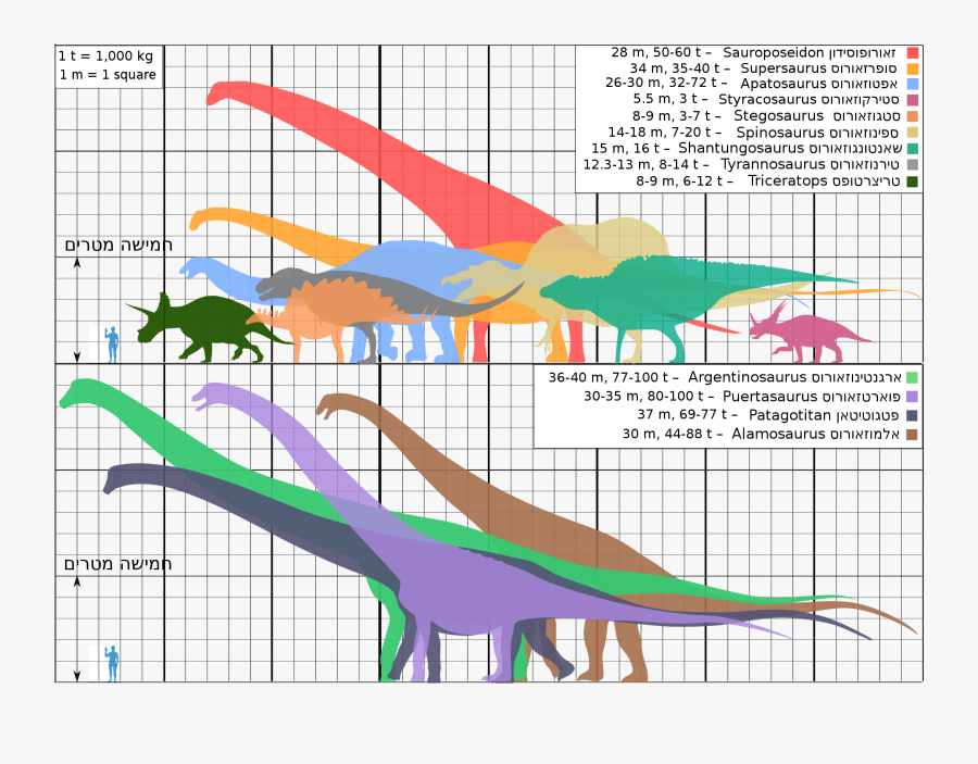 Biggest Dinosaurs Ver18 He - Dinosaur, Transparent Clipart