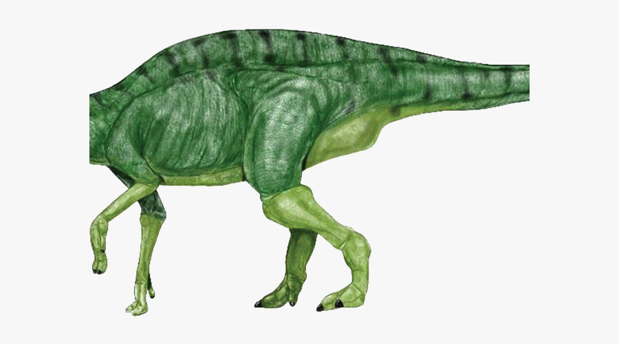 Spinosaurus Clipart, Transparent Clipart