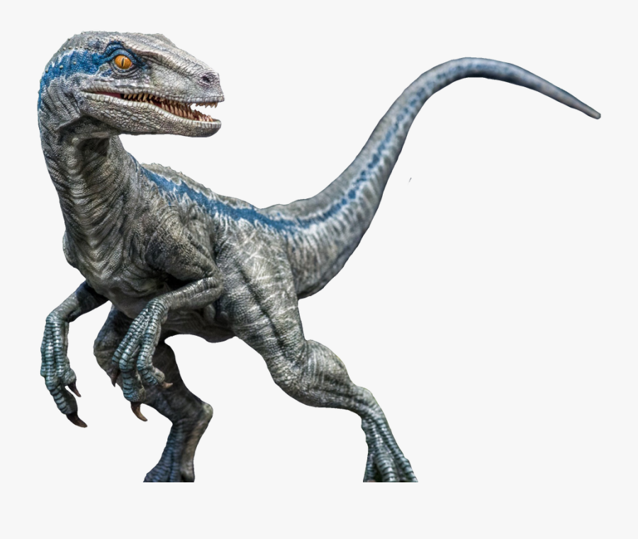 Jurassic World Blue Velociraptor Concept Art Jurassic 