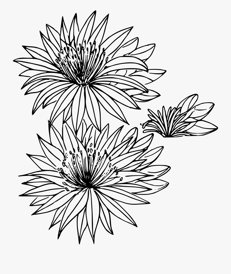 Transparent Flower Outline Png, Transparent Clipart