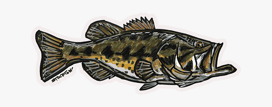 Fly Slaps Matthew Stockton Largemouth Bass Sticker - Sea Bass, Transparent Clipart