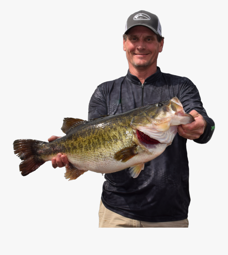 Sharelunker Bass, Transparent Clipart