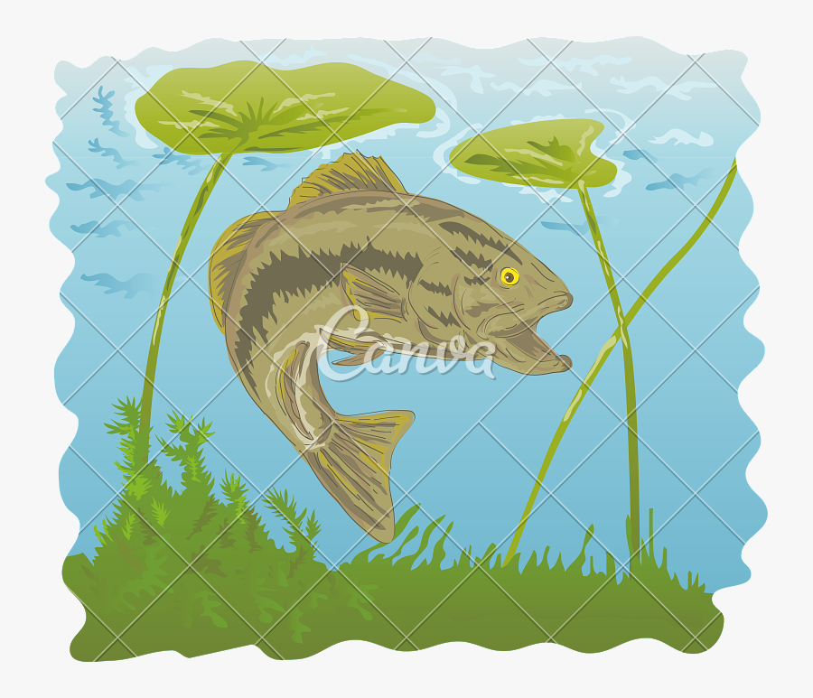 Large Mouth Bass Clipart - Bass Painting, Transparent Clipart