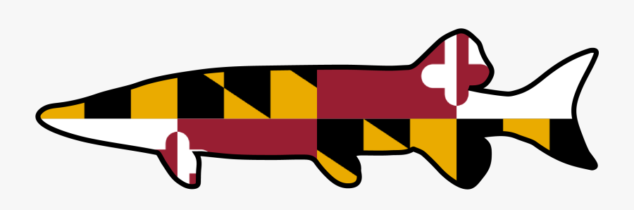 Brook Trout Logo - Maryland Flag High Res, Transparent Clipart