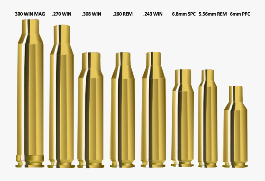 Ssa Brass Rifle Cases - Bullet, Transparent Clipart