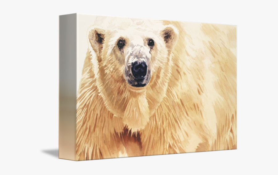 Clip Art Polar Bear Watercolor - Polar Bear, Transparent Clipart