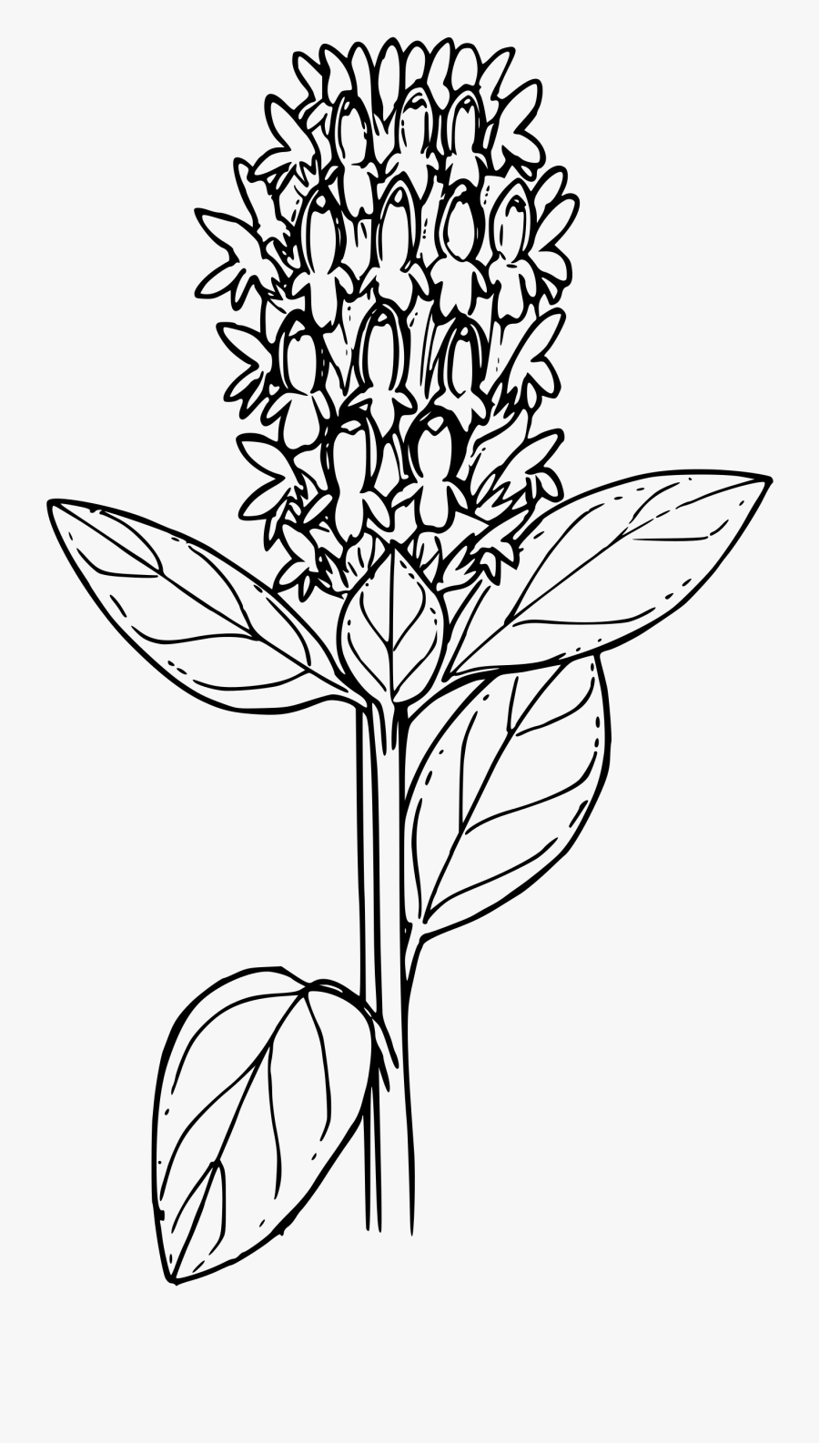 Self Heal Clip Arts - Line Art, Transparent Clipart