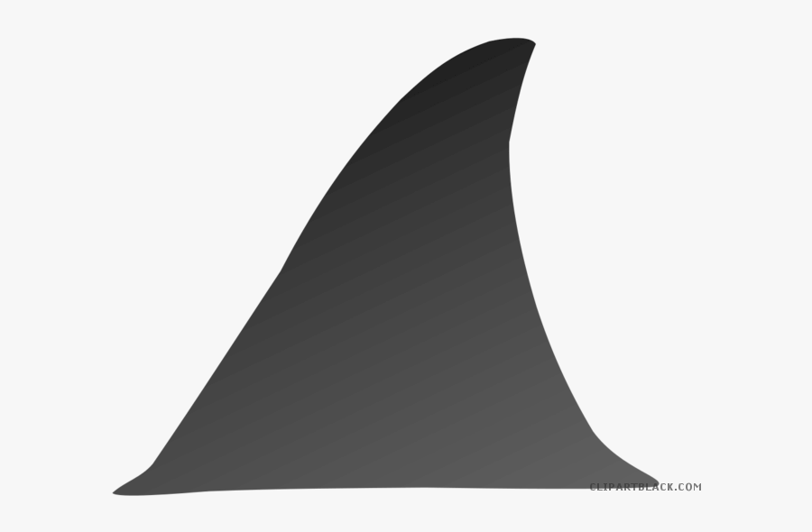 Clipart Shark Fin - Transparent Background Shark Fin Clipart, Transparent Clipart
