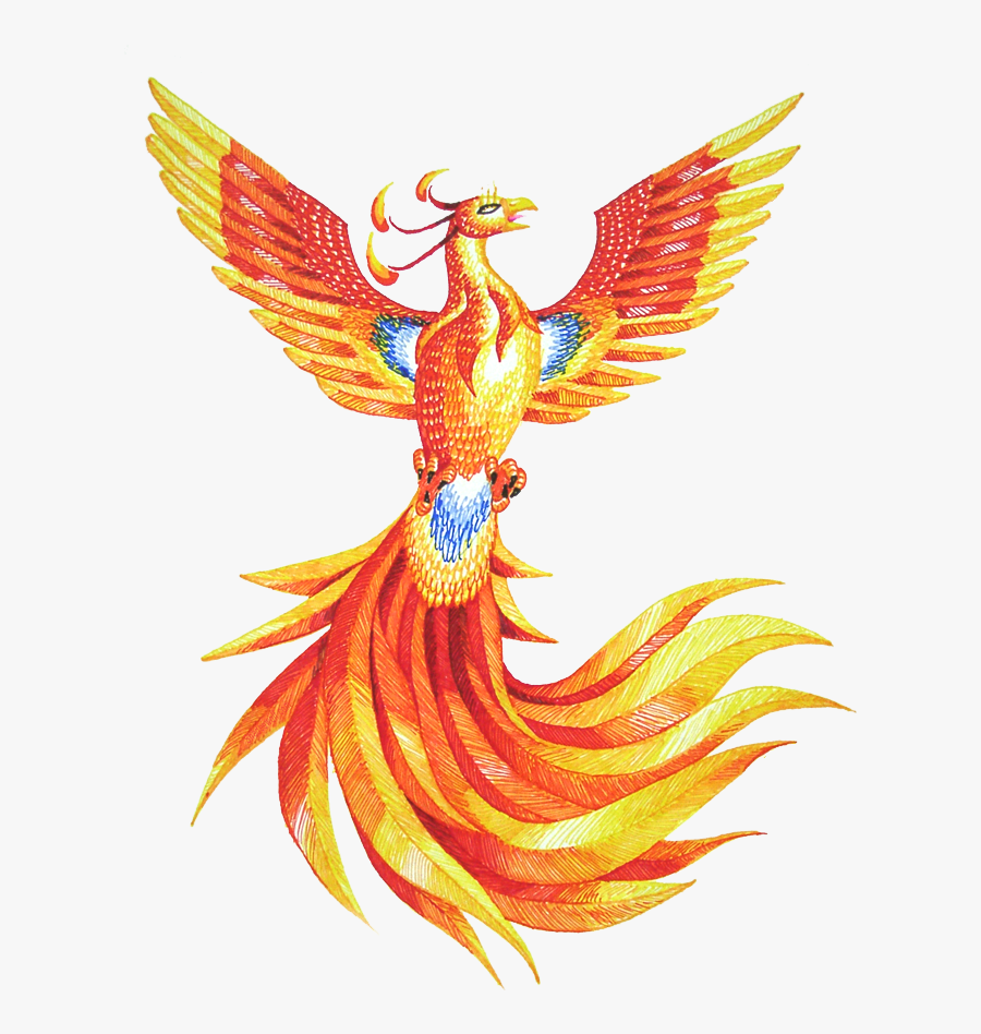 Hd Mart - Fawkes The Phoenix Drawing, Transparent Clipart