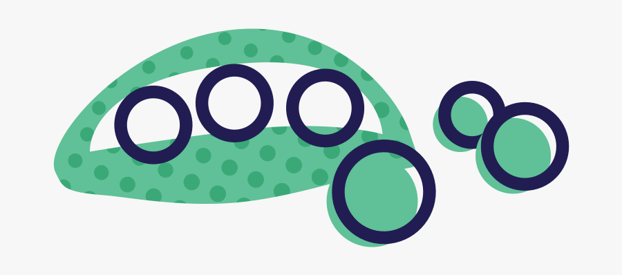 Circle, Transparent Clipart