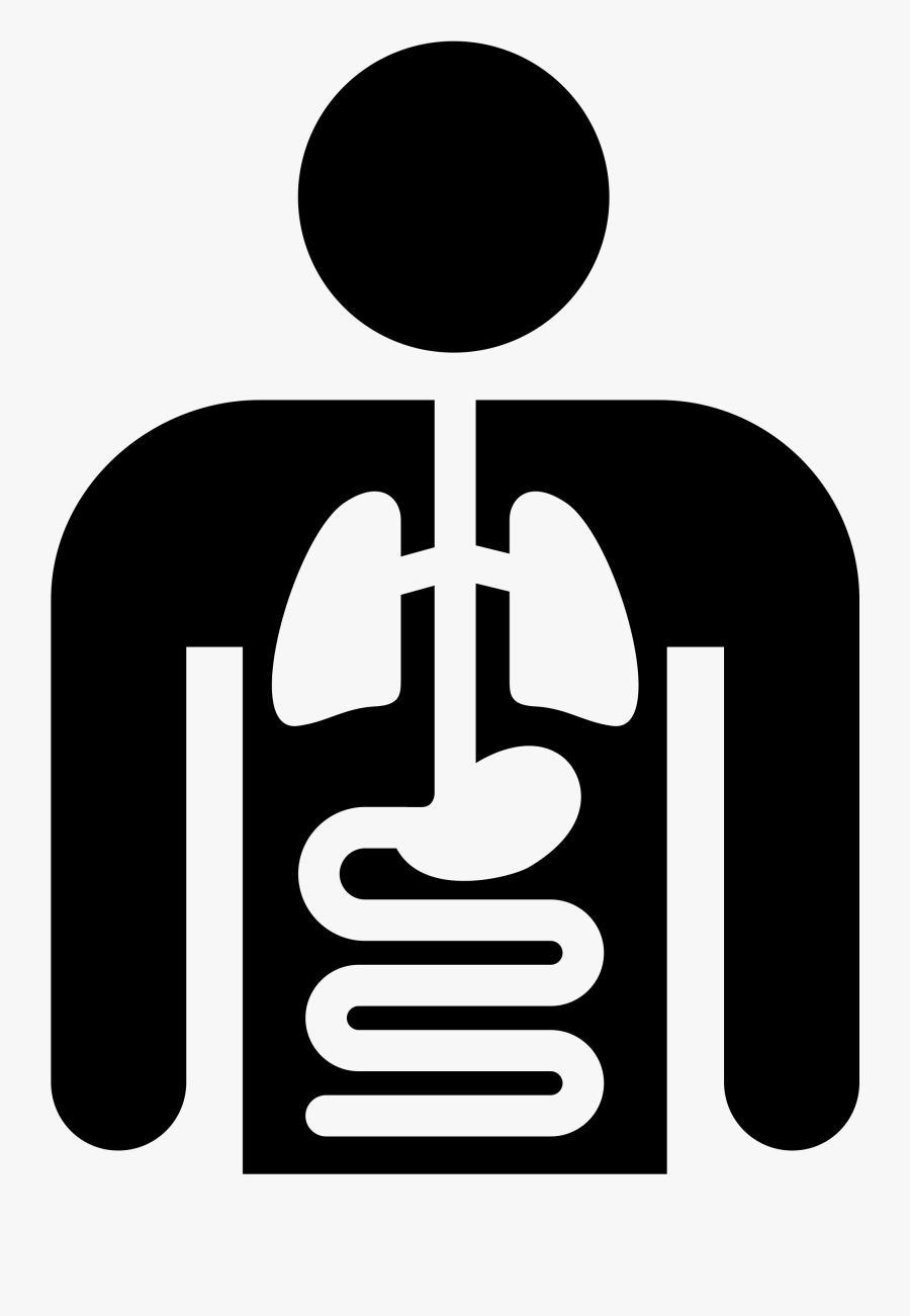 Transparent Medical Symbol Clipart - Colorectal Cancer Screening, Transparent Clipart