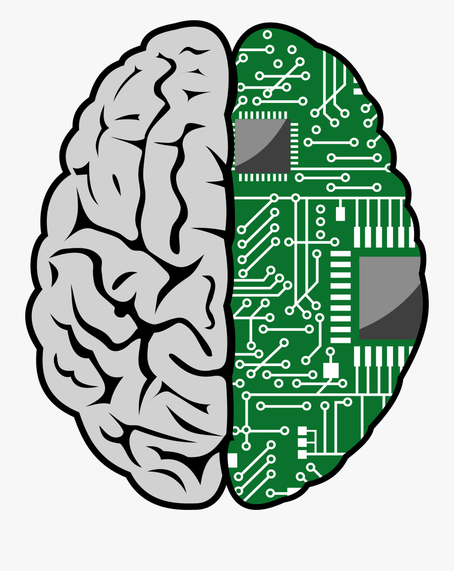 Motherboard Brain, Transparent Clipart
