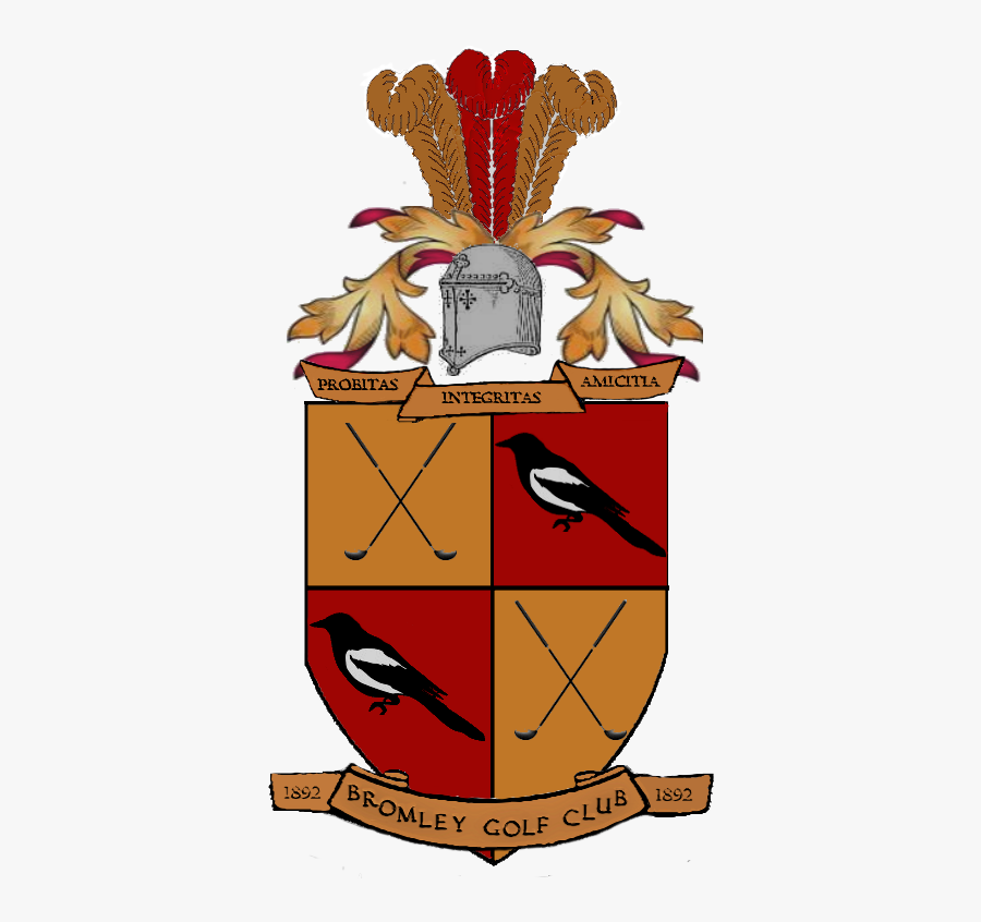 Perching Bird, Transparent Clipart