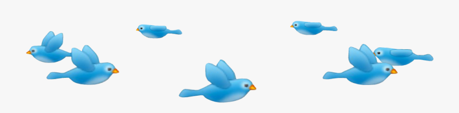 Photobooth Dizzy Birds
requested By @sailorkrystalmoon
like - Birds Photo Booth Png, Transparent Clipart