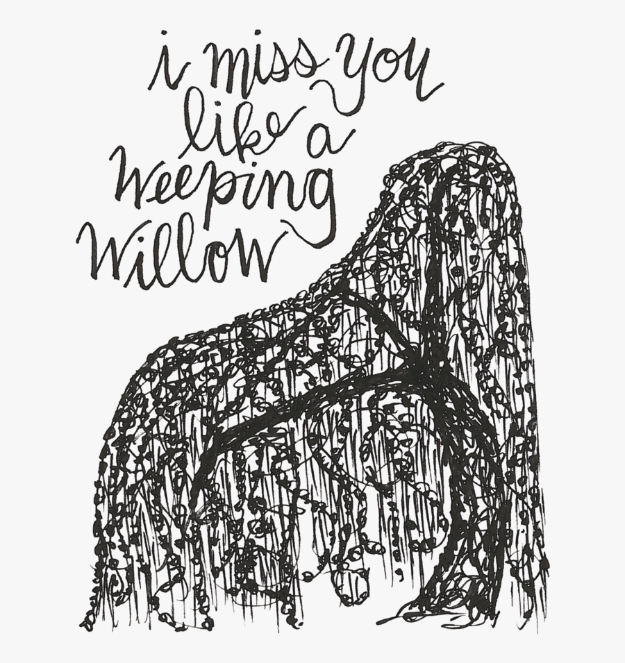 Weeping Willow Clip Art, Transparent Clipart