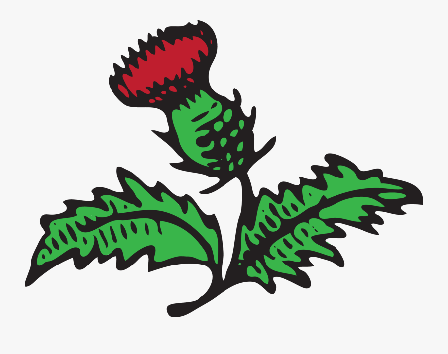 Red Thistle Handyworks - Illustration, Transparent Clipart