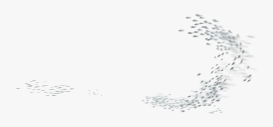 Sketch, Transparent Clipart