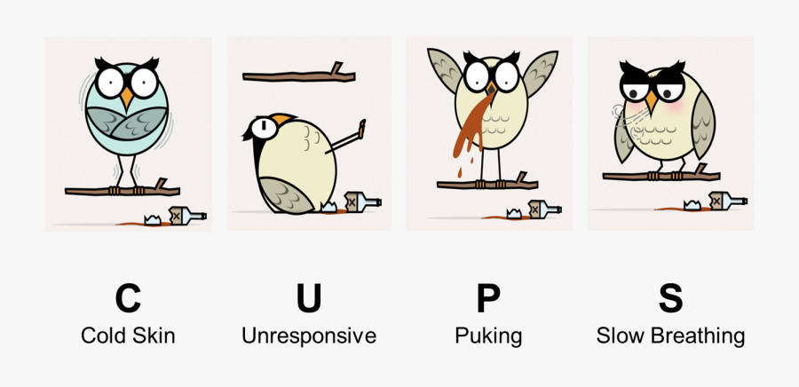 Cups, Transparent Clipart