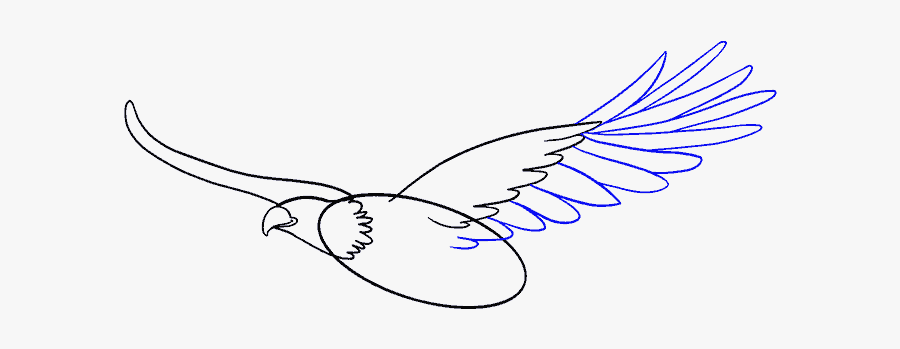 Drawing Eagles Art - Drawing Eagles Step By Step, Transparent Clipart