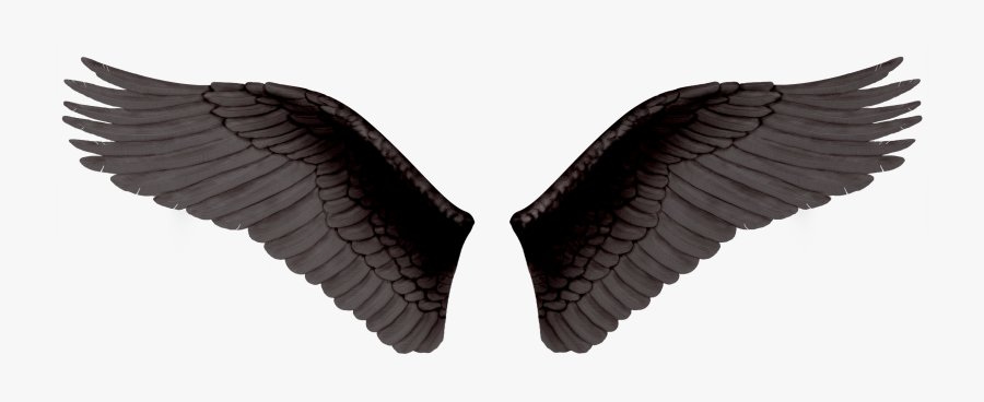 Wings Png - Крылья Png Для Фотошопа, Transparent Clipart