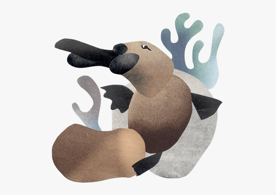 Stuffed Toy, Transparent Clipart