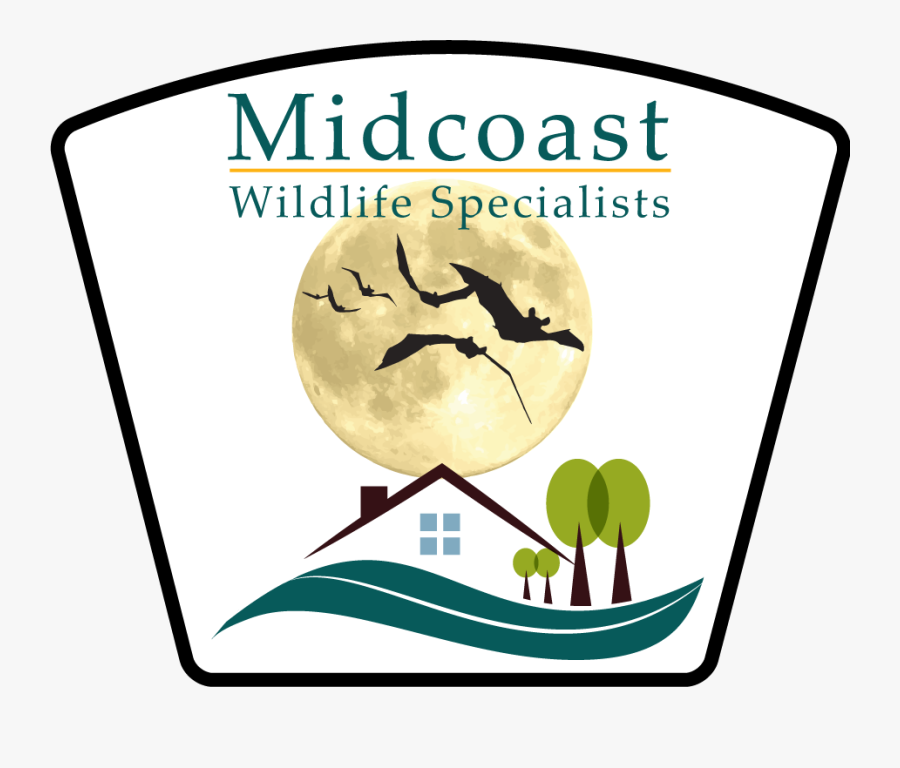 Logo Experiment Final - Bats Flying, Transparent Clipart