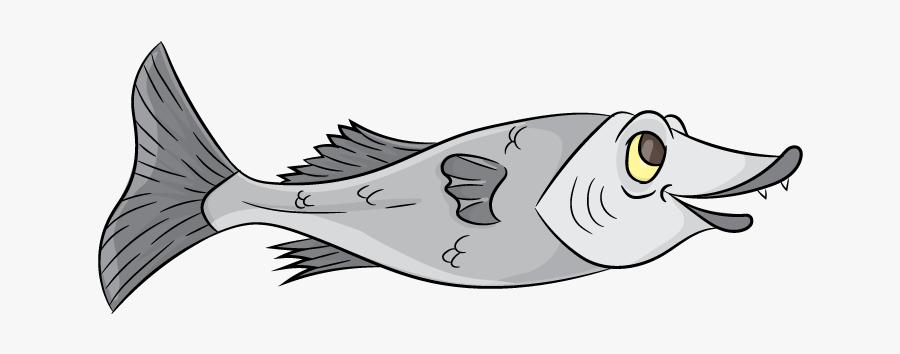 6 Years Old And Up - Ray-finned Fish, Transparent Clipart