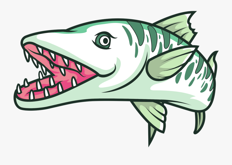 Barracuda Vector Png, Transparent Clipart