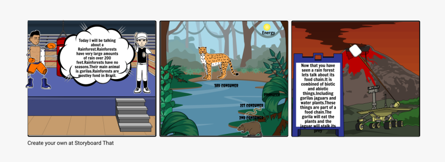 Tropical Rainforest Secondary Succession, Transparent Clipart