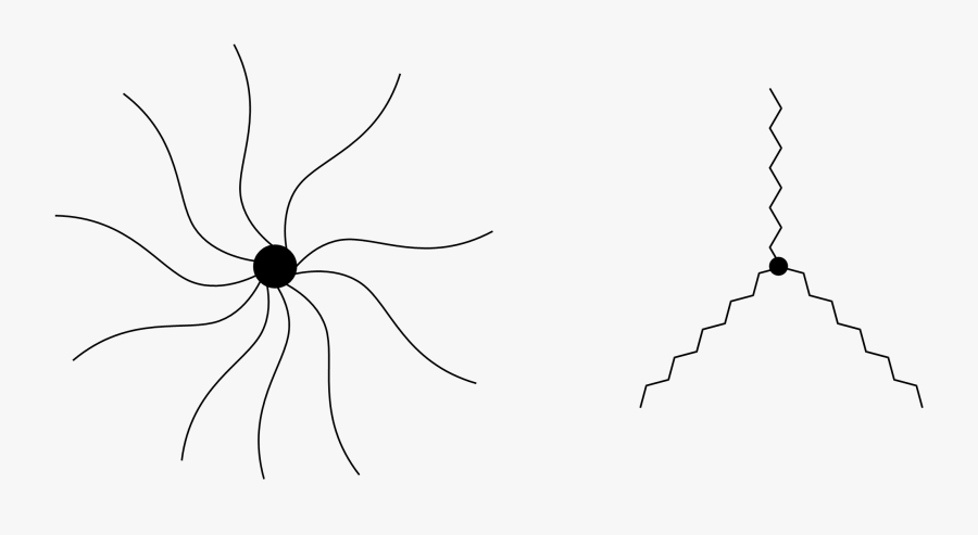 Star Polymer, Transparent Clipart