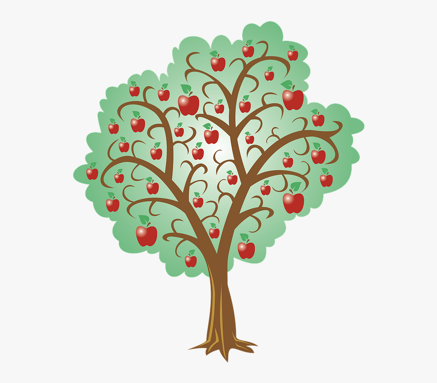 Tree, Apple, Apples, Trees, Forest, Vegetation, Adobe - Illustration, Transparent Clipart