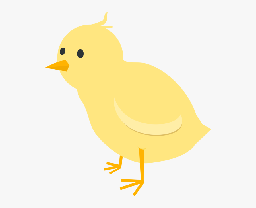 Water Bird,bird,yellow - Duck, Transparent Clipart