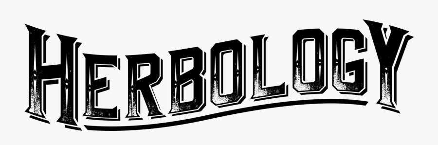 Pharmacy, Transparent Clipart