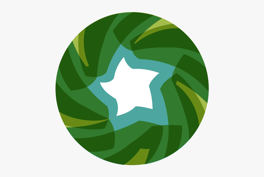 Circle, Transparent Clipart