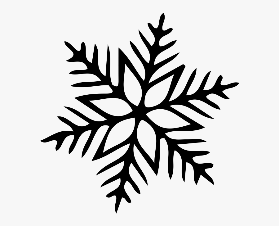 Snow Icon Png Image Free Download Searchpng - Flocon Pistolet À Colle, Transparent Clipart
