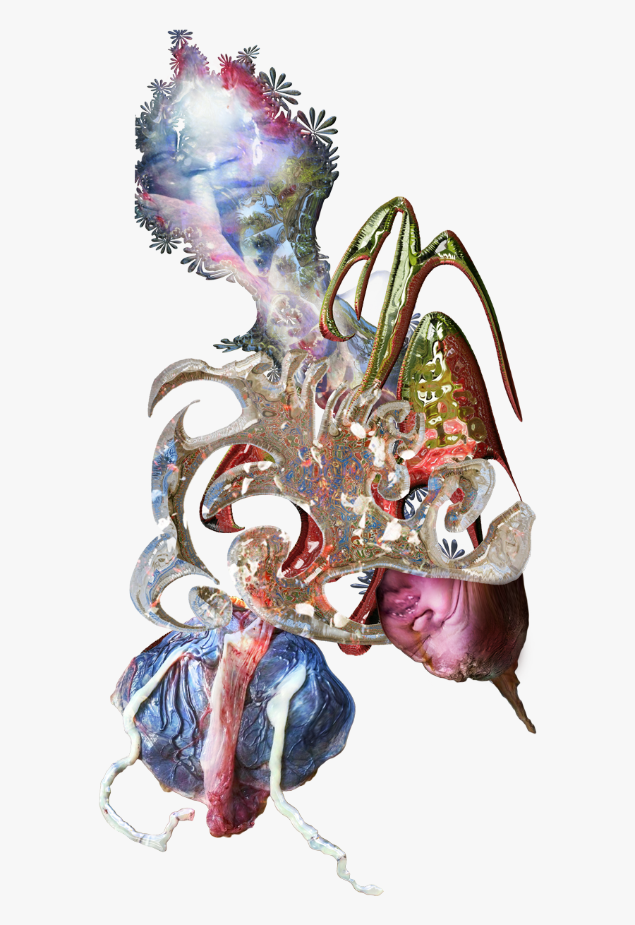 Illustration, Transparent Clipart