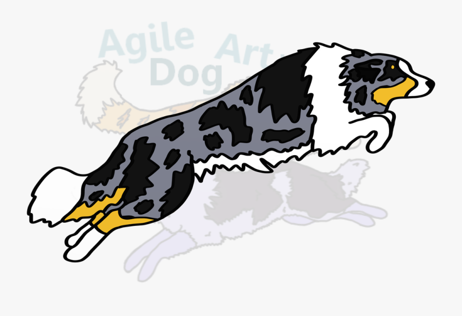 Picture - Bernese Mountain Dog, Transparent Clipart