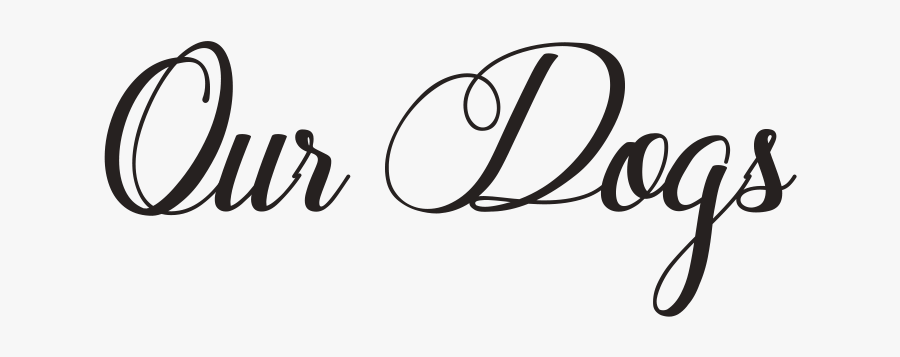 Calligraphy, Transparent Clipart