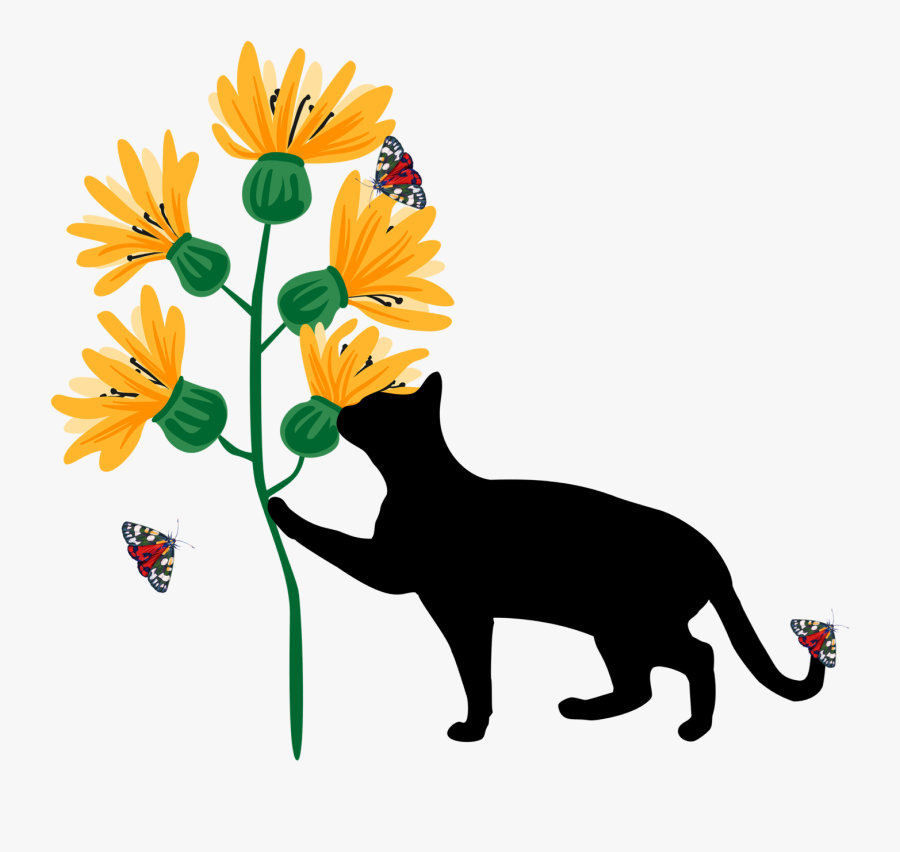Black Cat And Ladder, Transparent Clipart