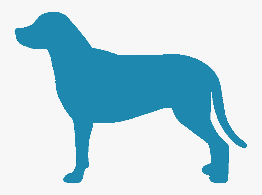 Greater Swiss Mountain Dog Silhouette - Ancient Dog Breeds, Transparent Clipart
