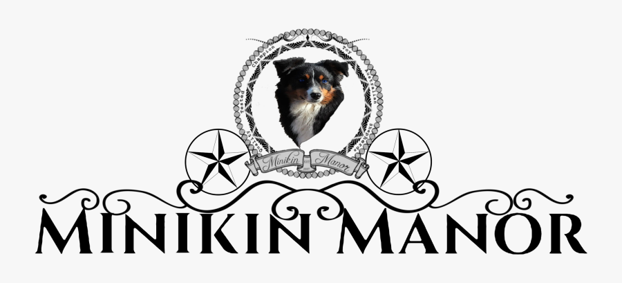 English Shepherd, Transparent Clipart