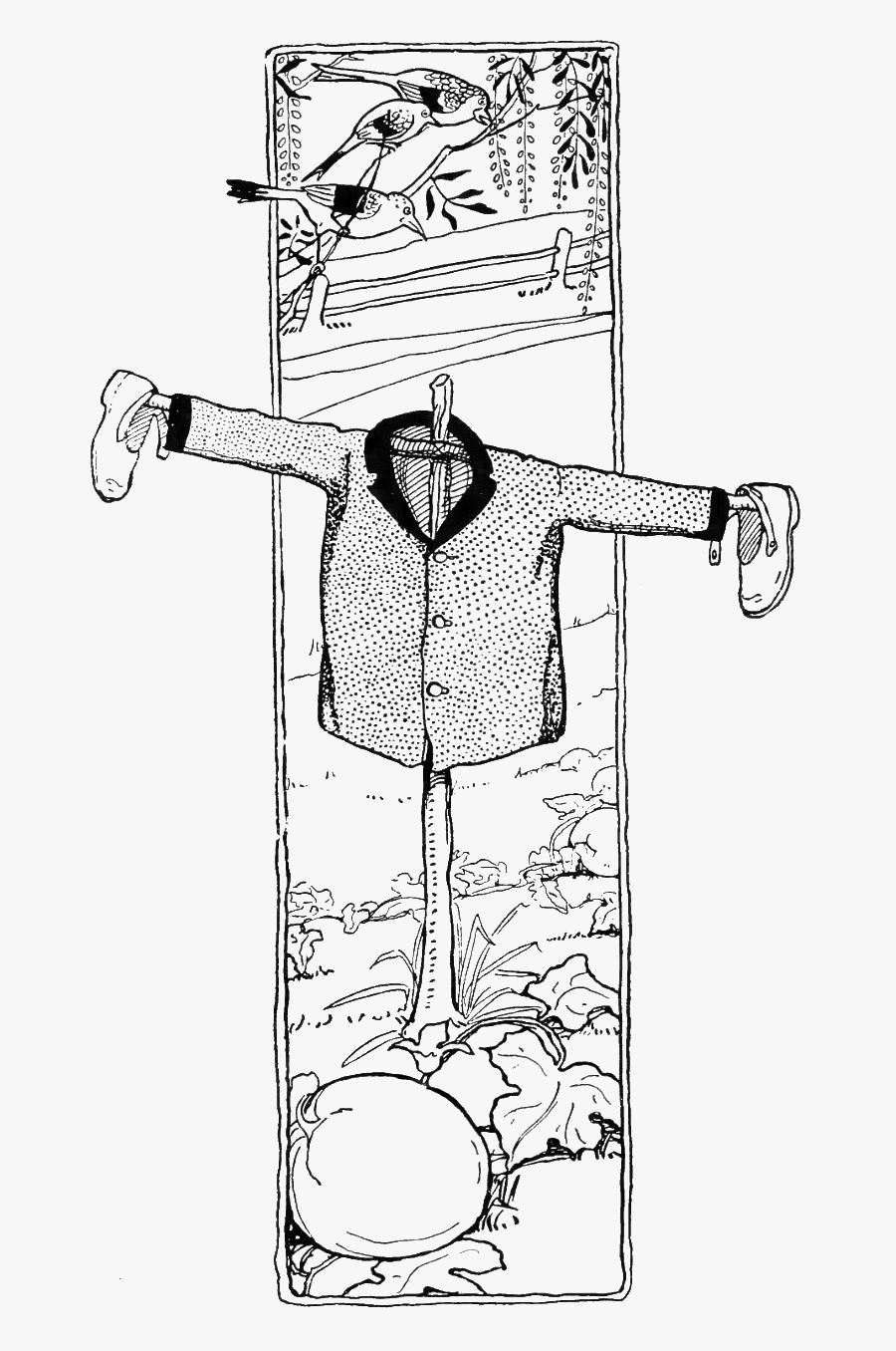 Peter Rabbit Albert 53 - Cartoon, Transparent Clipart